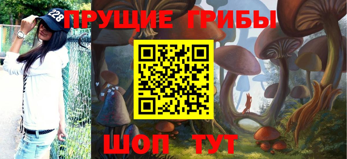 Бугуруслан  купить закладку  Вход с VPN  Галлюциногенные грибы Psilocybine cubensis 